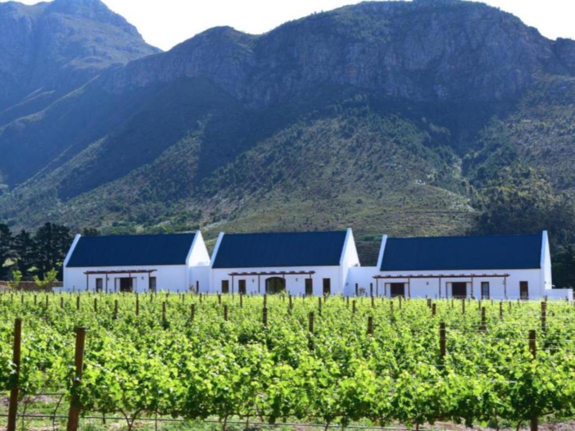 مبيت وإفطار فرانستشوك Chambray Estate - The Terraces In The Vines المظهر الخارجي الصورة