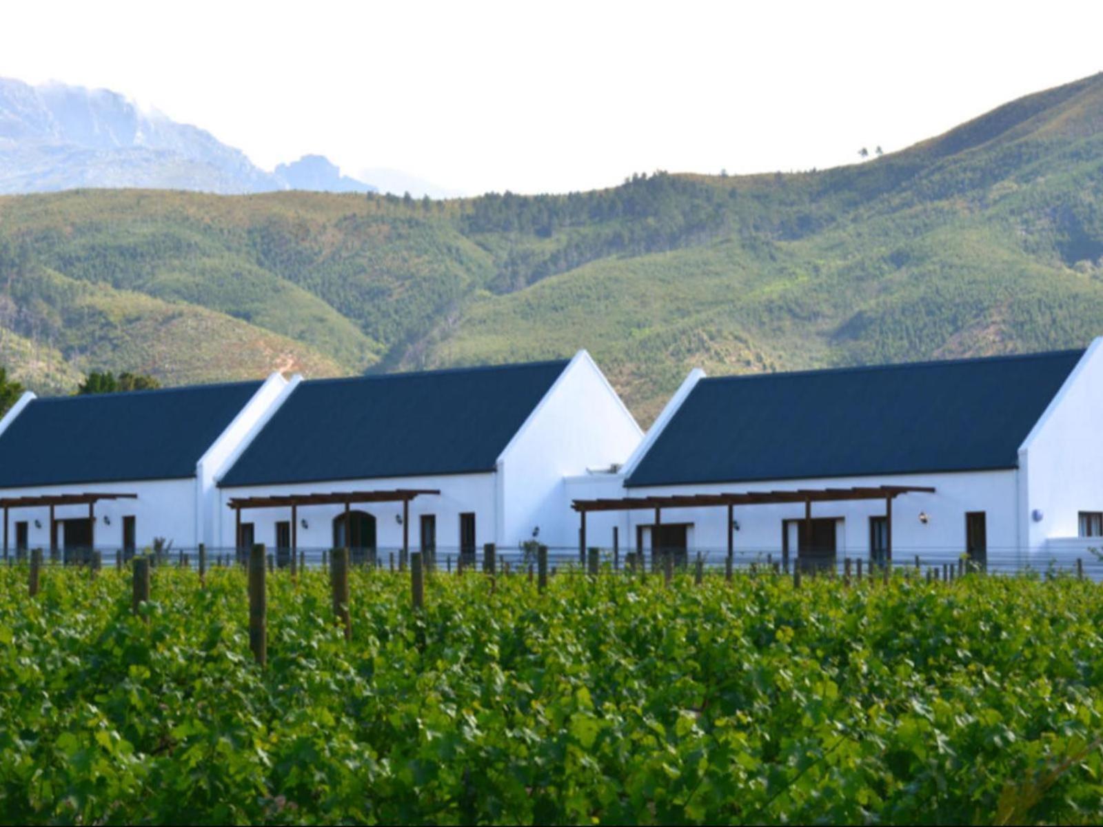 مبيت وإفطار فرانستشوك Chambray Estate - The Terraces In The Vines المظهر الخارجي الصورة